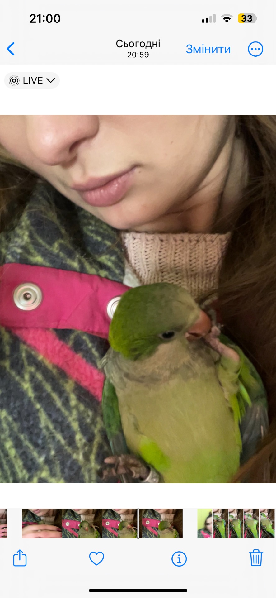 Викормиш хлопчик монах папуга