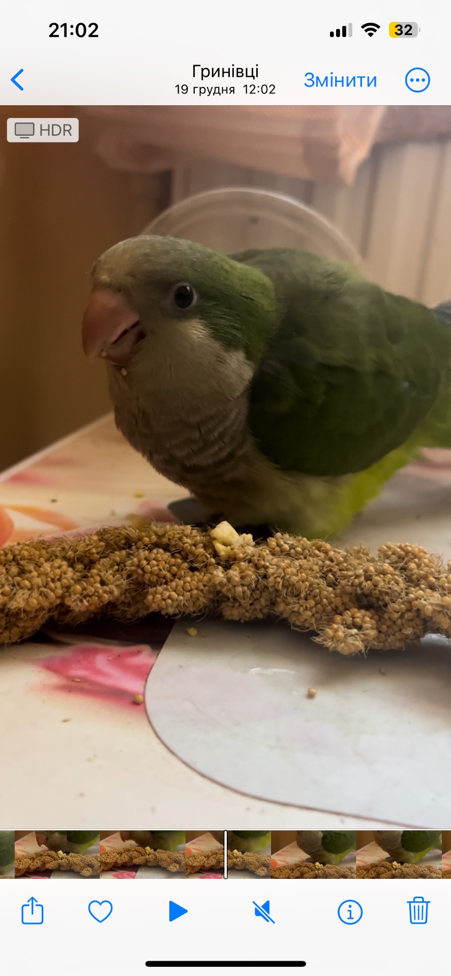 Викормиш хлопчик монах папуга