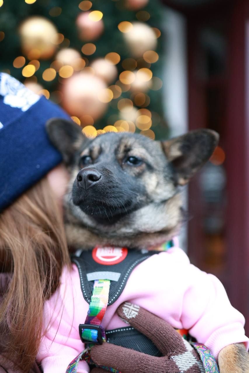 🐶 Знайомтесь — крихітка Кікі ✨