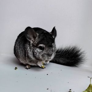 Лагідна дівчинка 🩷