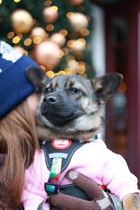 🐶 Знайомтесь — крихітка Кікі ✨