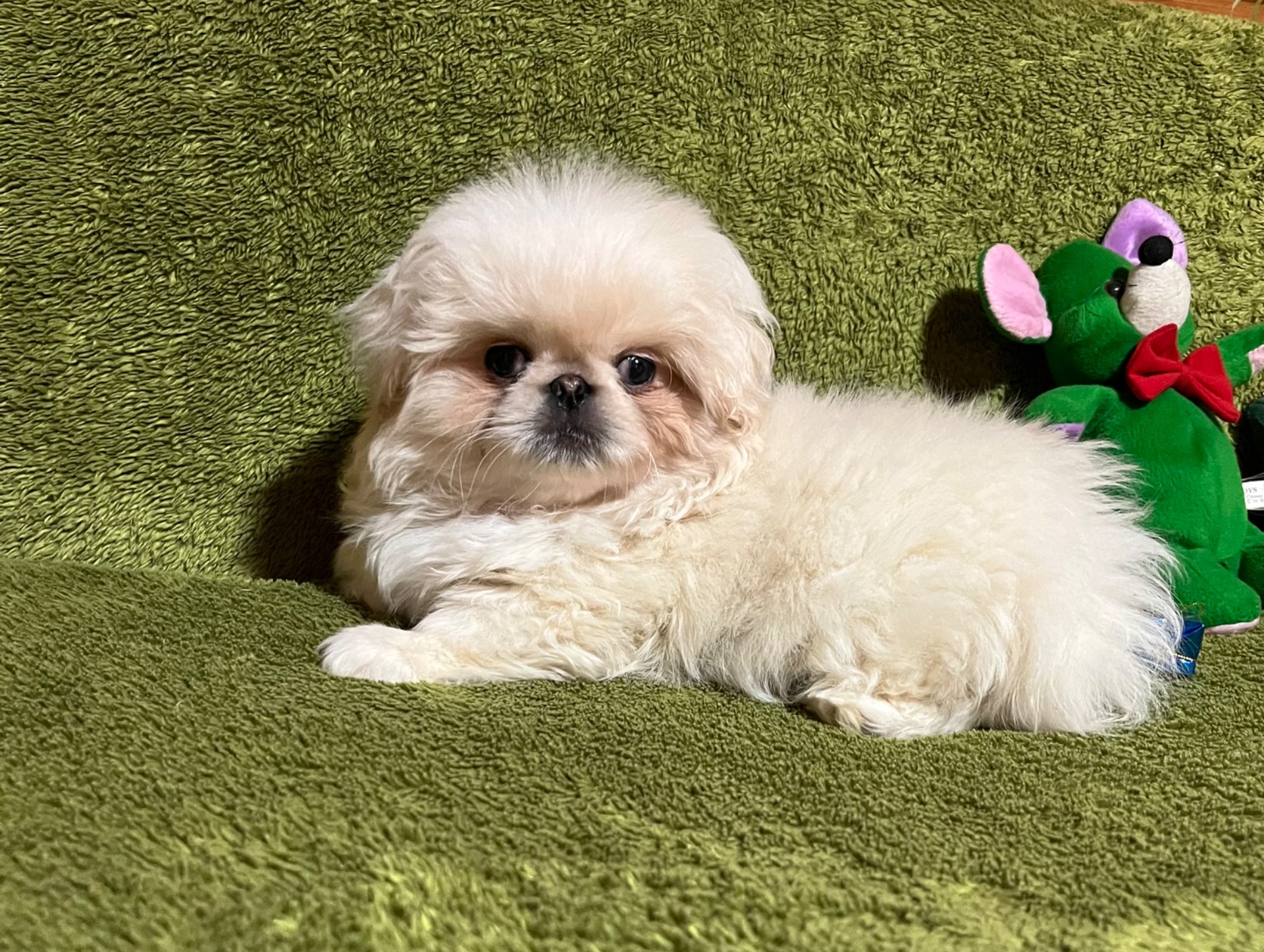 Файні хлопчики