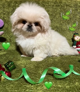 Файні хлопчики