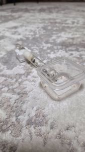 Муравьи вид Мессор структор