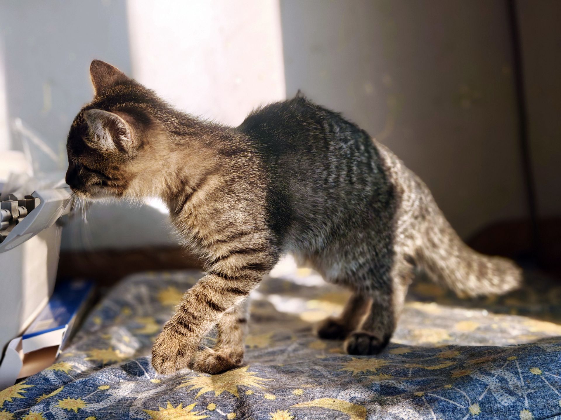 Мікеланджело