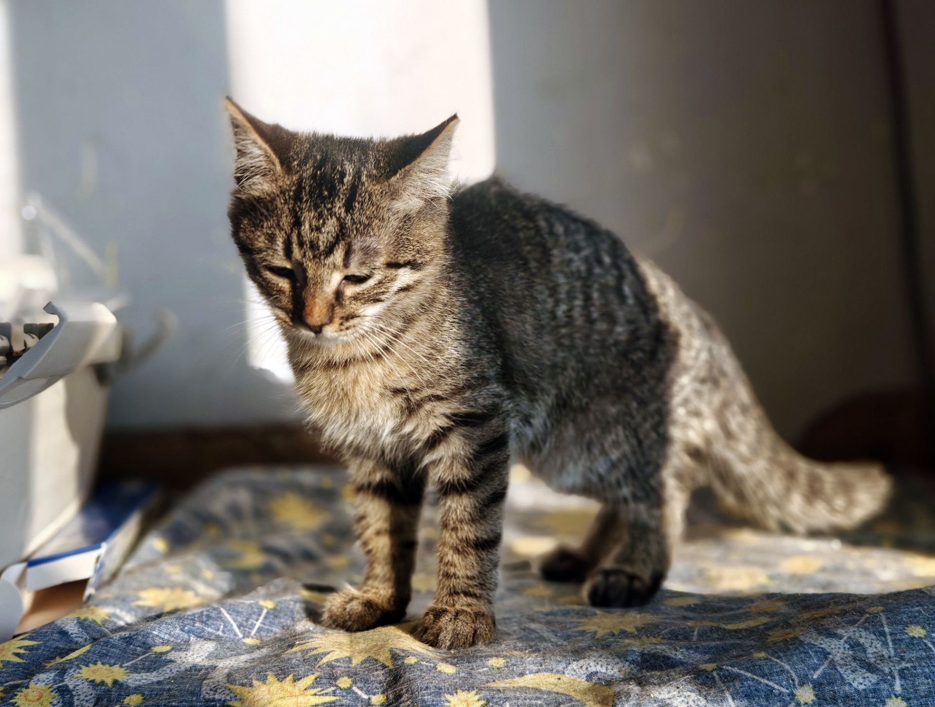 Мікеланджело