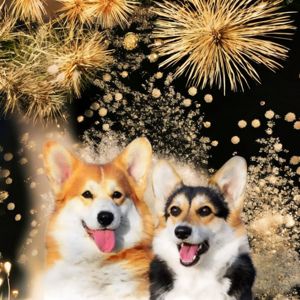 Вельш-коргі пемброк