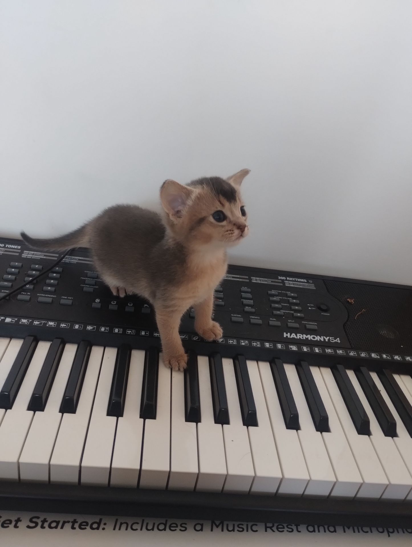 Блакитний хлопчик шукає родину!