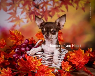 Мини девочка