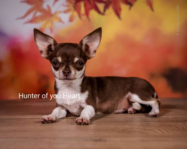 Мини девочка