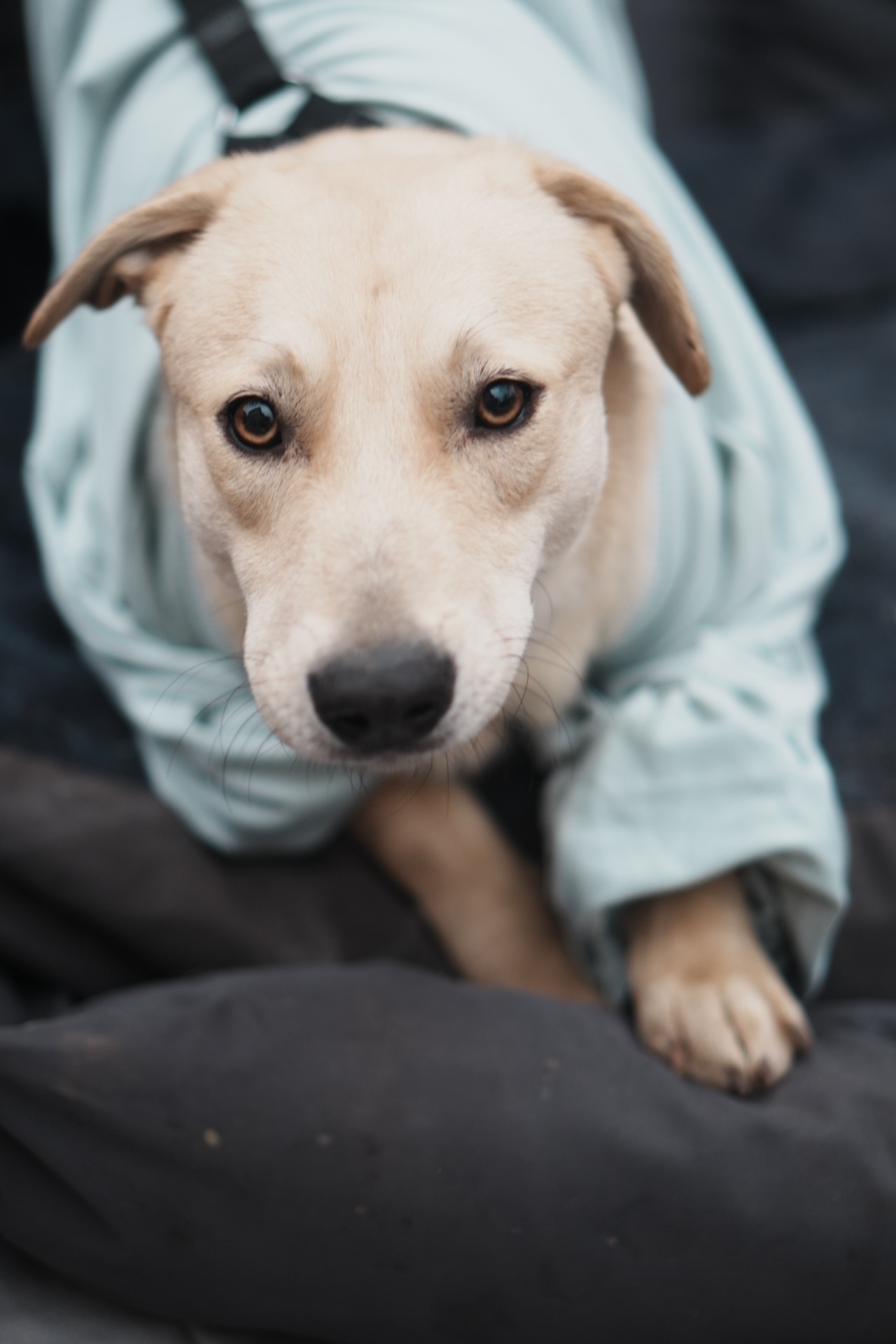 Милий Бруно мріє про родину!