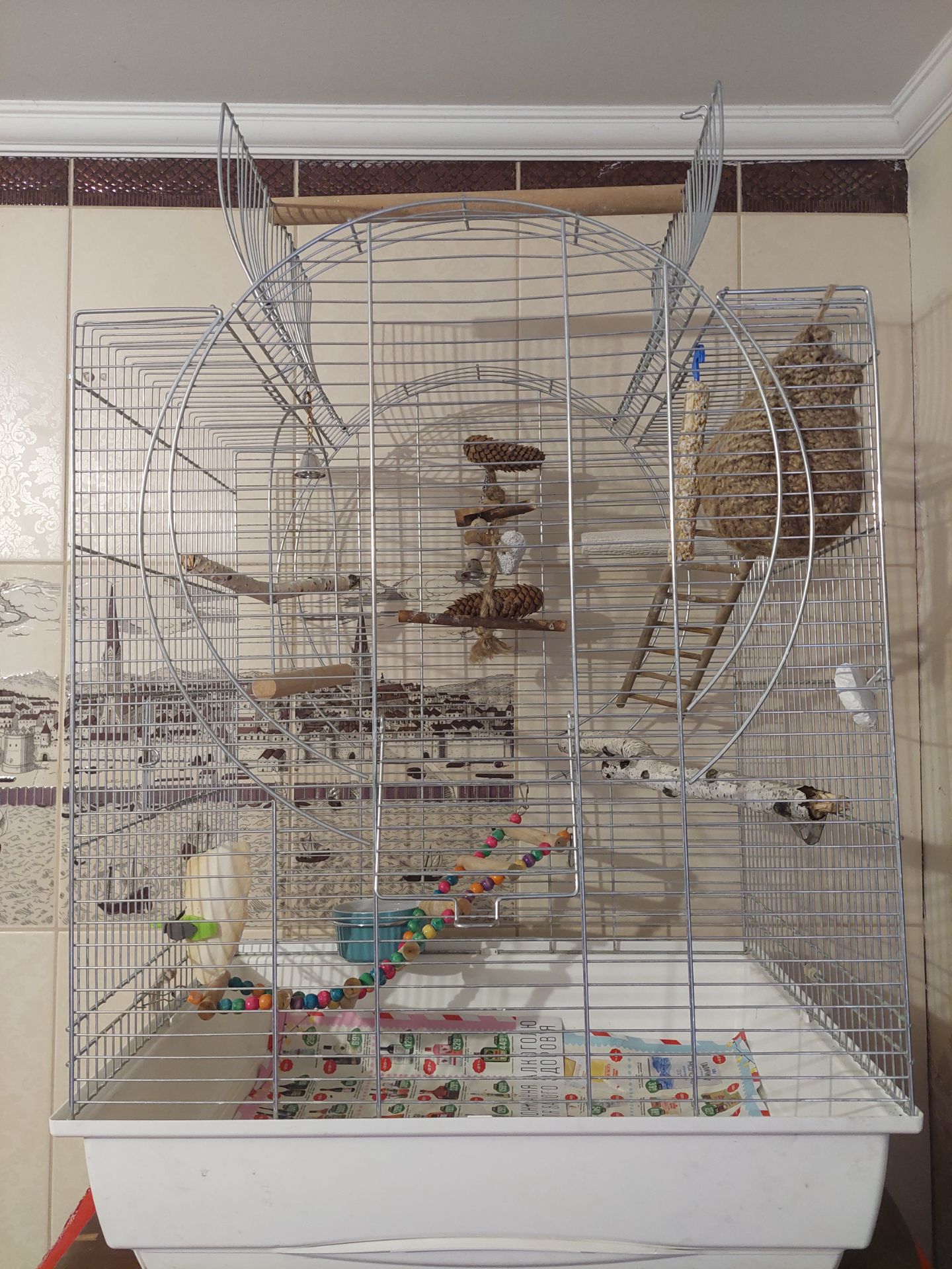 Розовощекий неразлучник