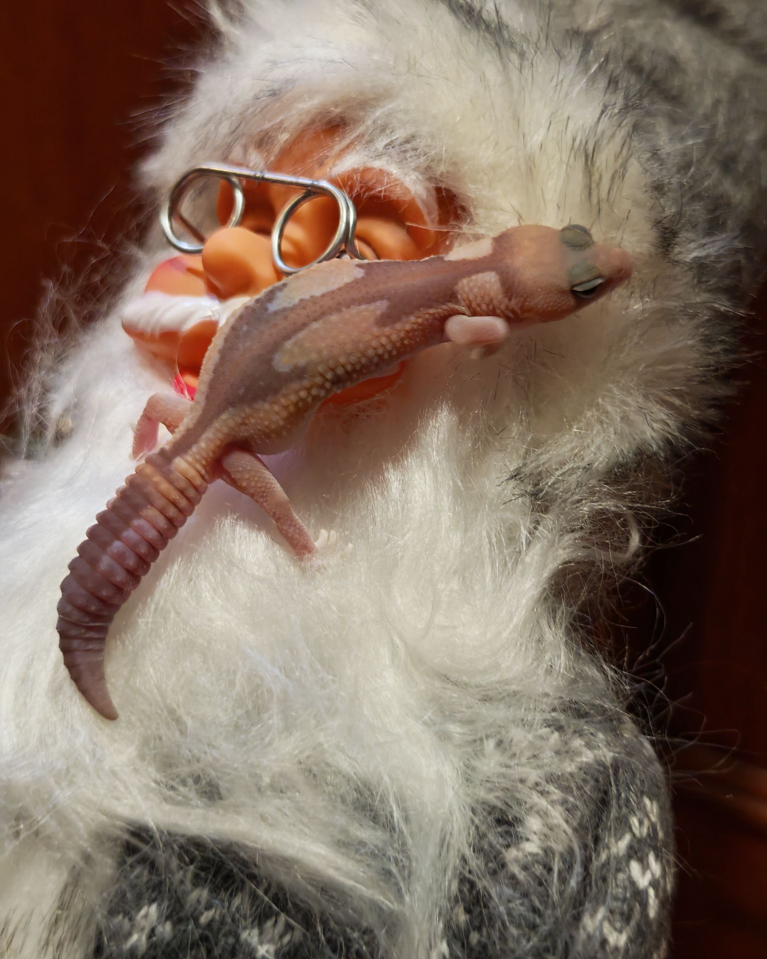 Гемітеконекс (Hemitheconyx caudicinctus)