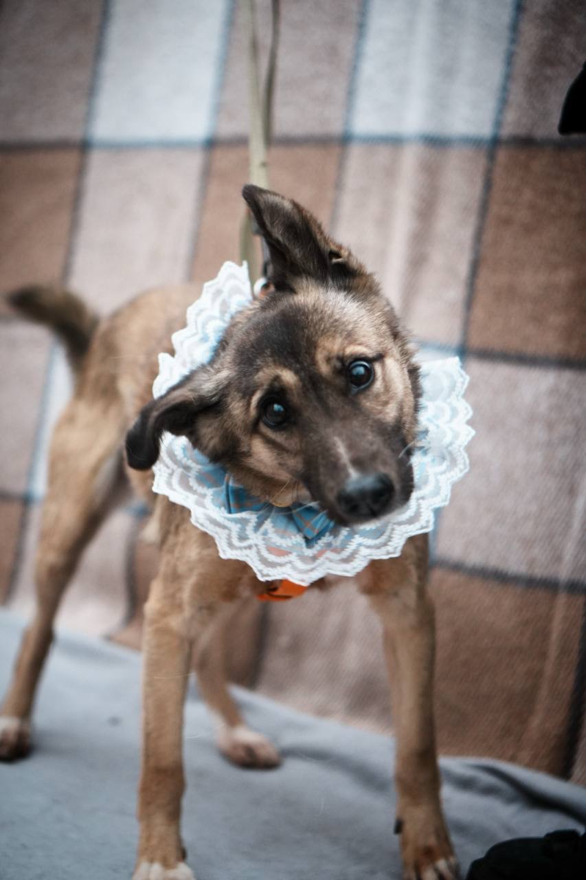 Врятована під вибухом Сімка мріє про родину!