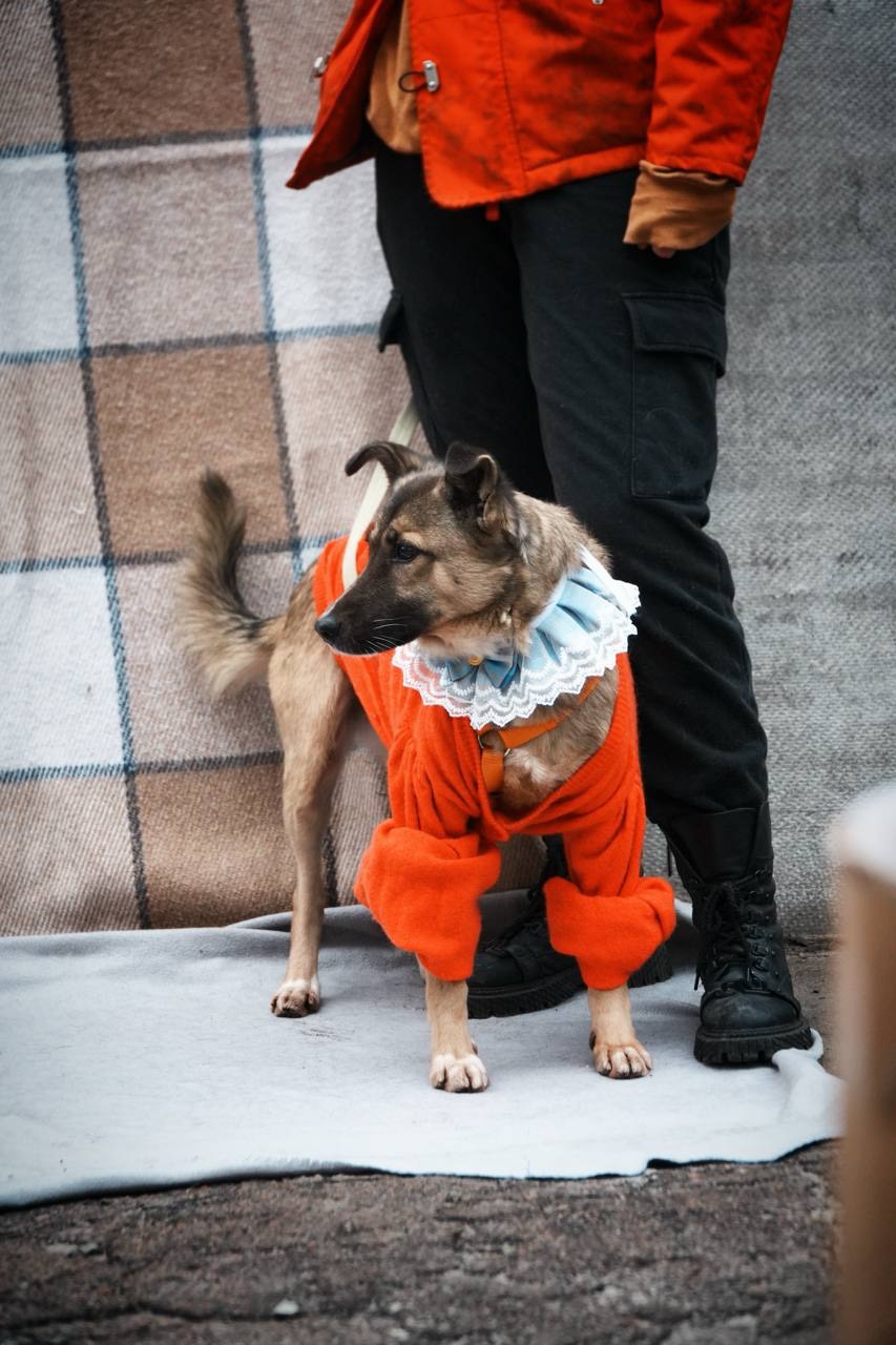 Врятована під вибухом Сімка мріє про родину!