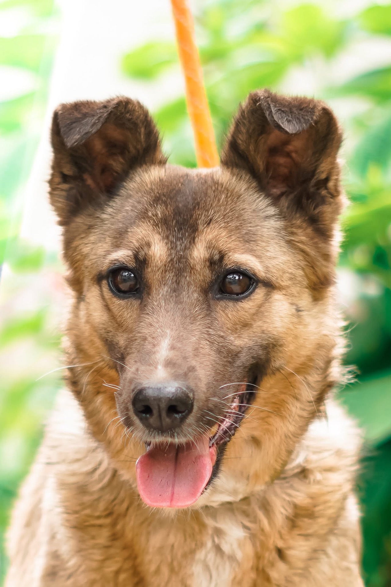 Врятована під вибухом Сімка мріє про родину!