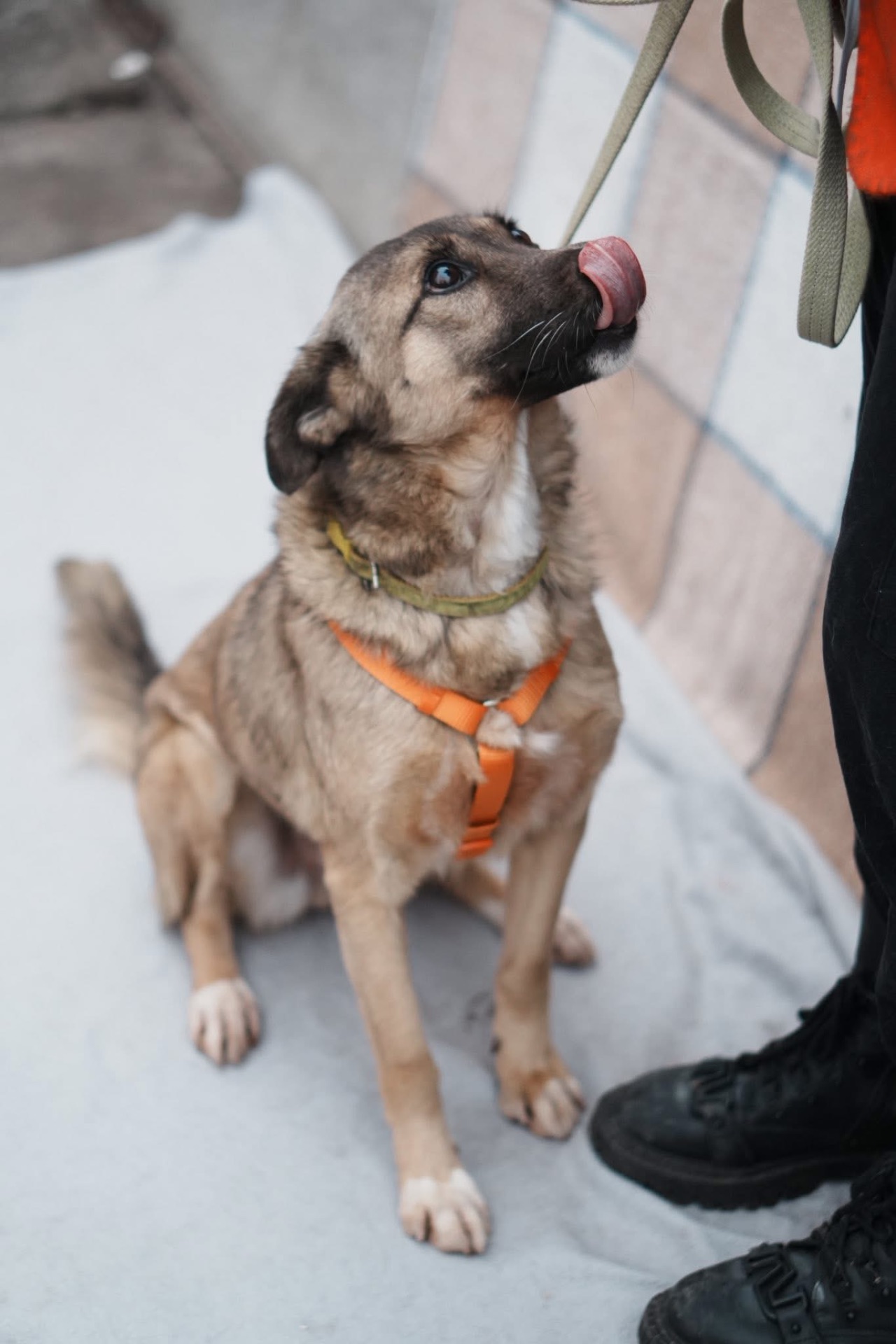 Врятована під вибухом Сімка мріє про родину!