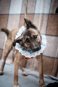 Врятована під вибухом Сімка мріє про родину!