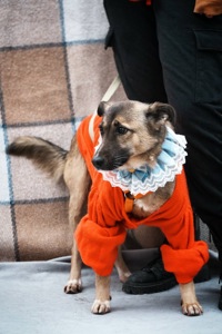 Врятована під вибухом Сімка мріє про родину!