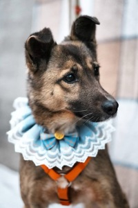 Врятована під вибухом Сімка мріє про родину!