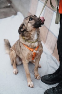 Врятована під вибухом Сімка мріє про родину!