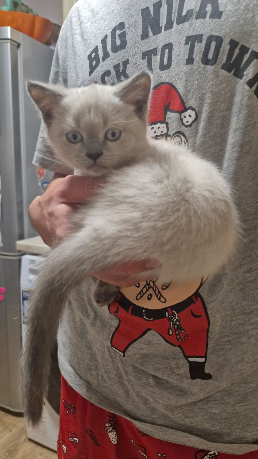 Шотландський хлопчик