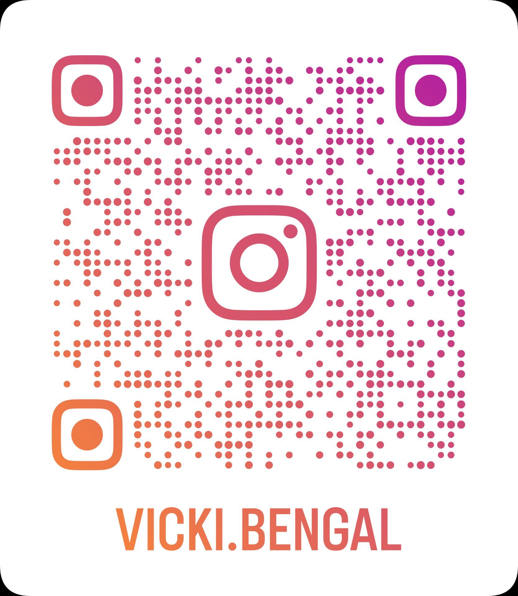 Шикарні бенгальські кошенята