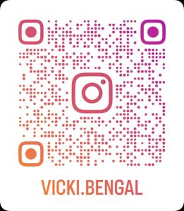 Шикарні бенгальські кошенята