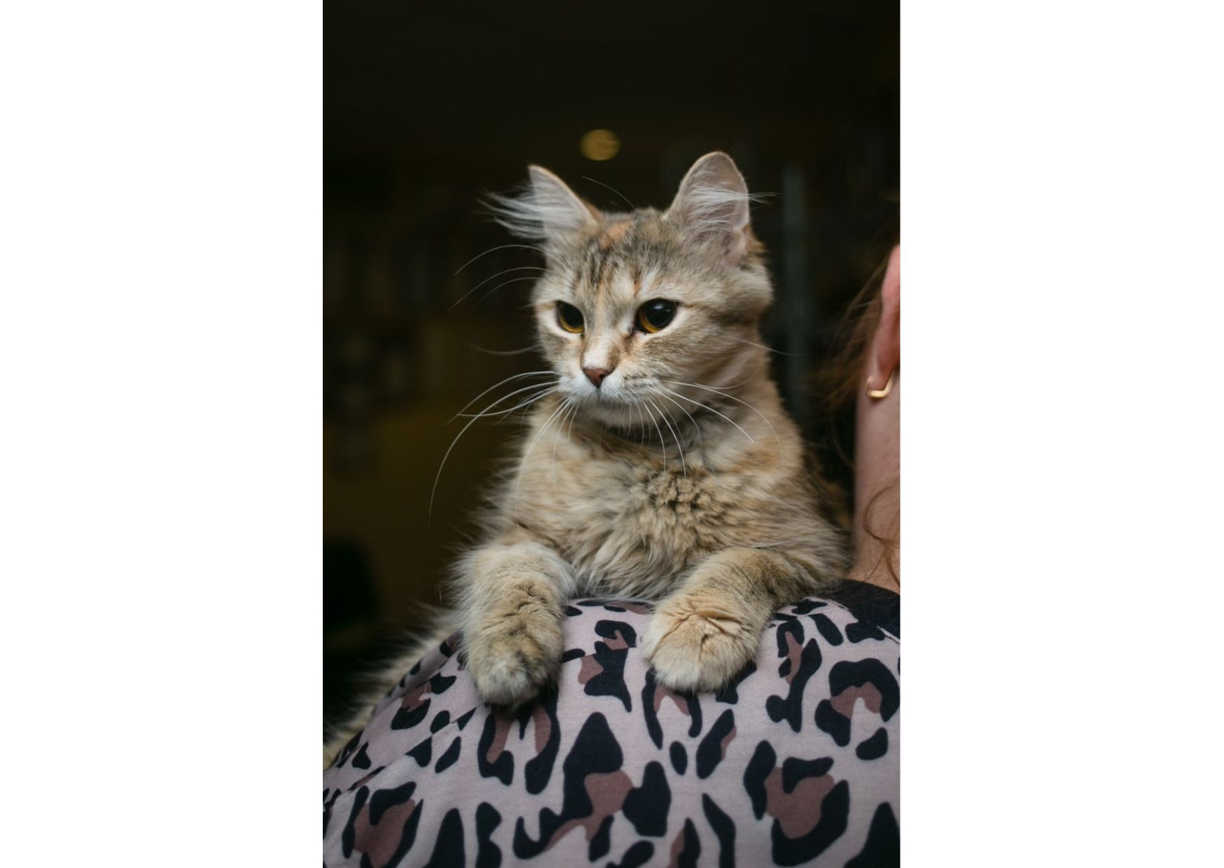 Неймовірна красуня чекає своїх людей