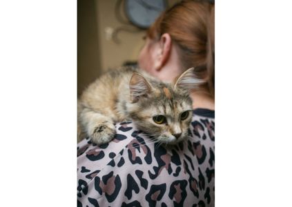 Неймовірна красуня чекає своїх людей