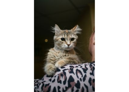 Неймовірна красуня чекає своїх людей