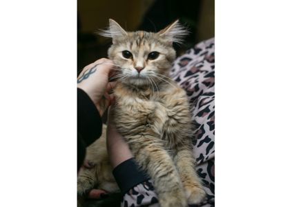 Неймовірна красуня чекає своїх людей