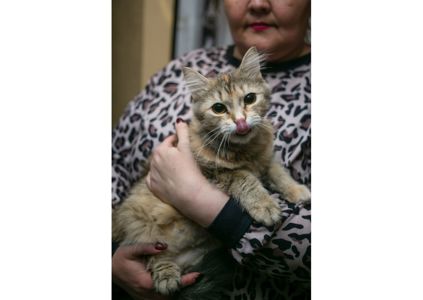 Неймовірна красуня чекає своїх людей