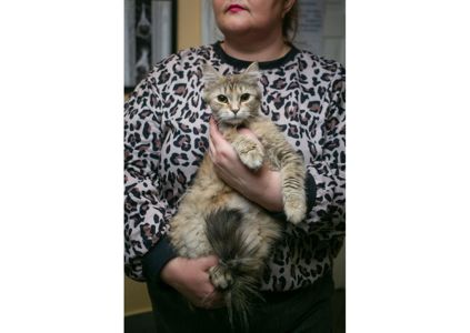 Неймовірна красуня чекає своїх людей