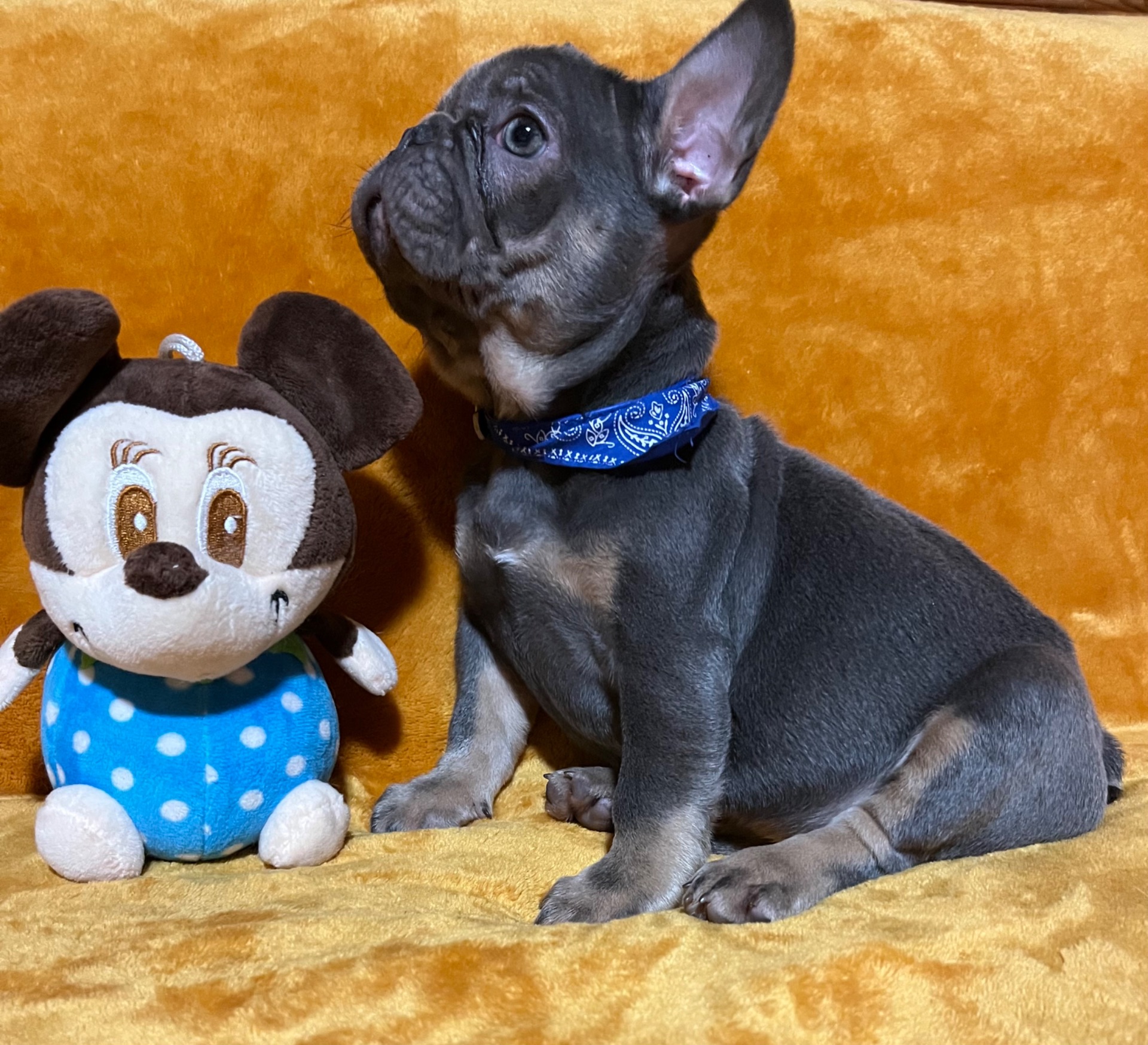 Очаровательная девчуля