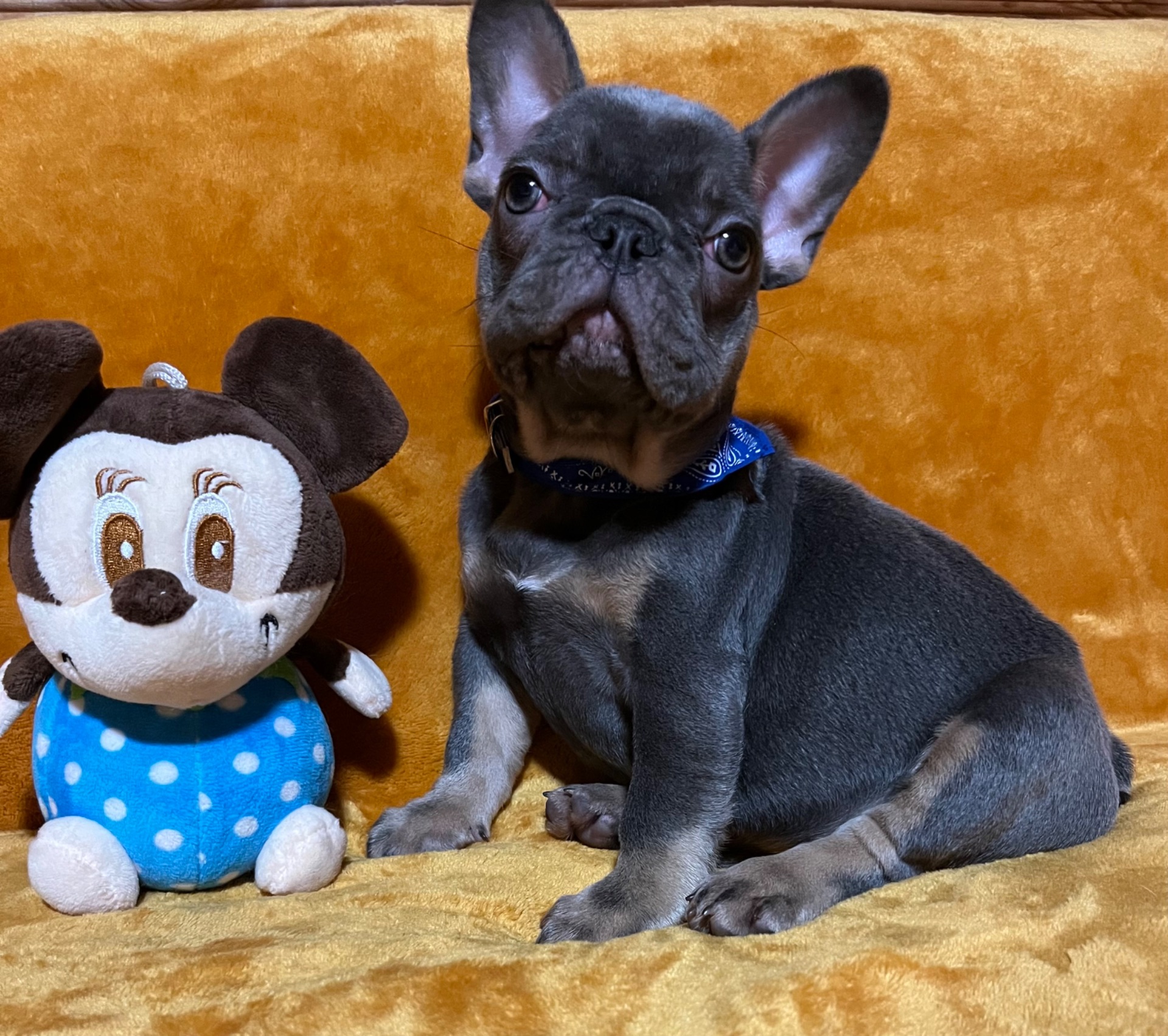 Очаровательная девчуля