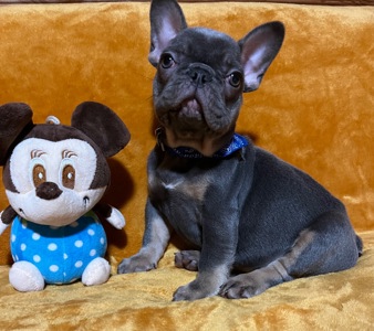 Очаровательная девчуля