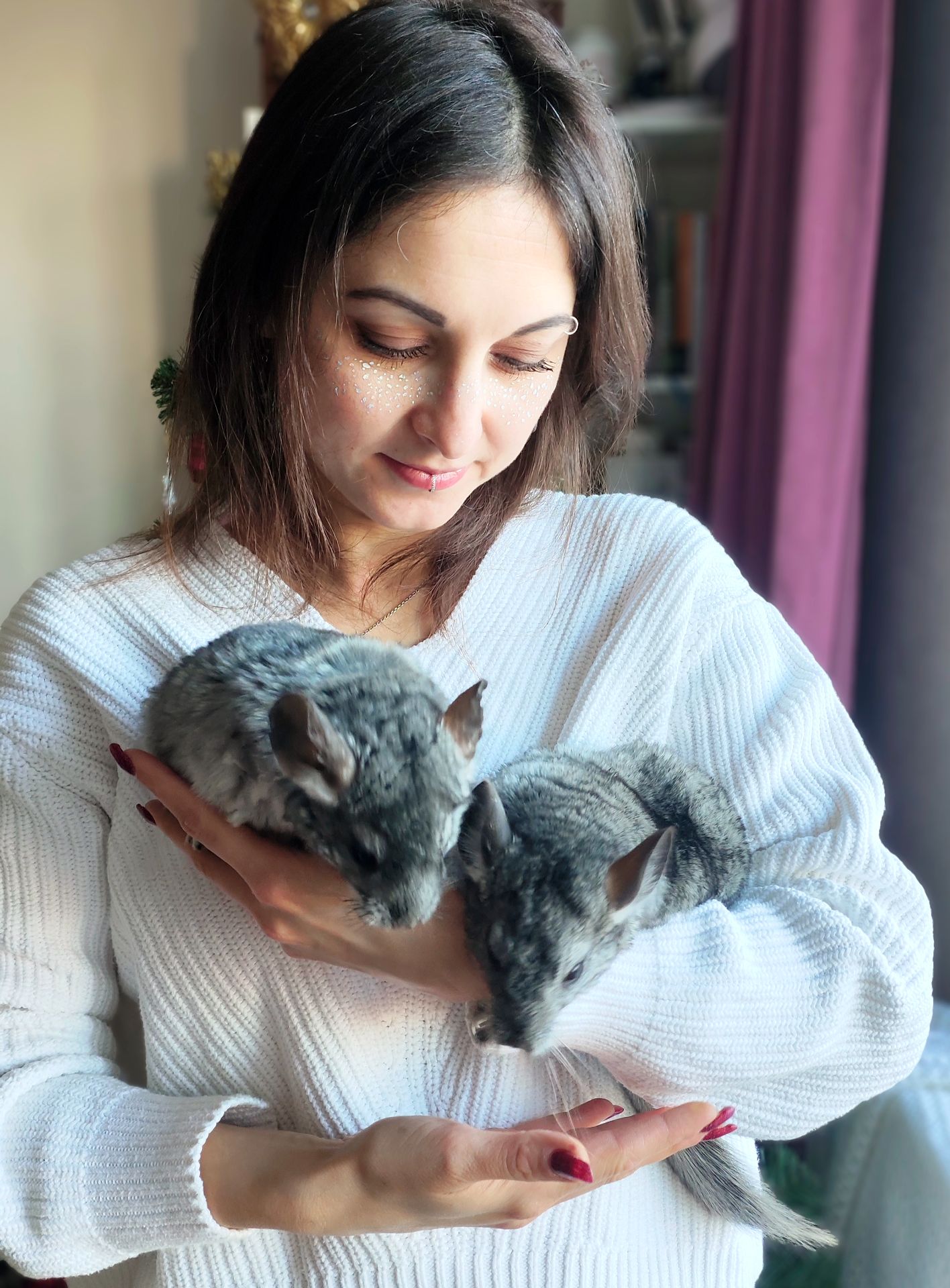 Шиншила дівчинка 3 місяці