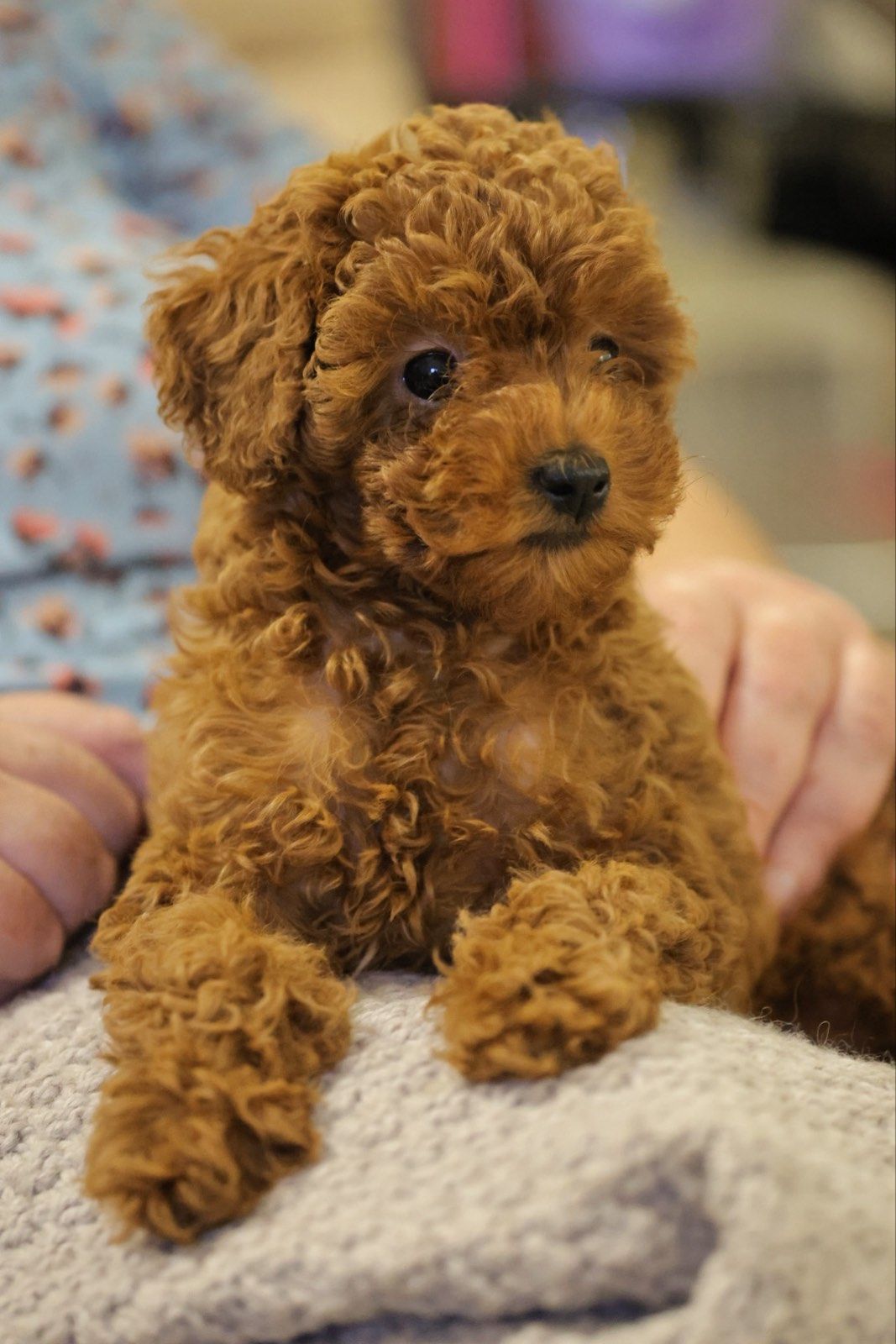 Непереможний