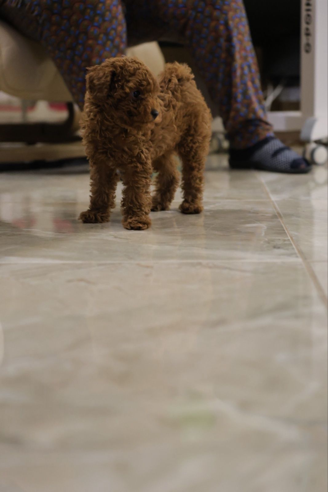 Непереможний