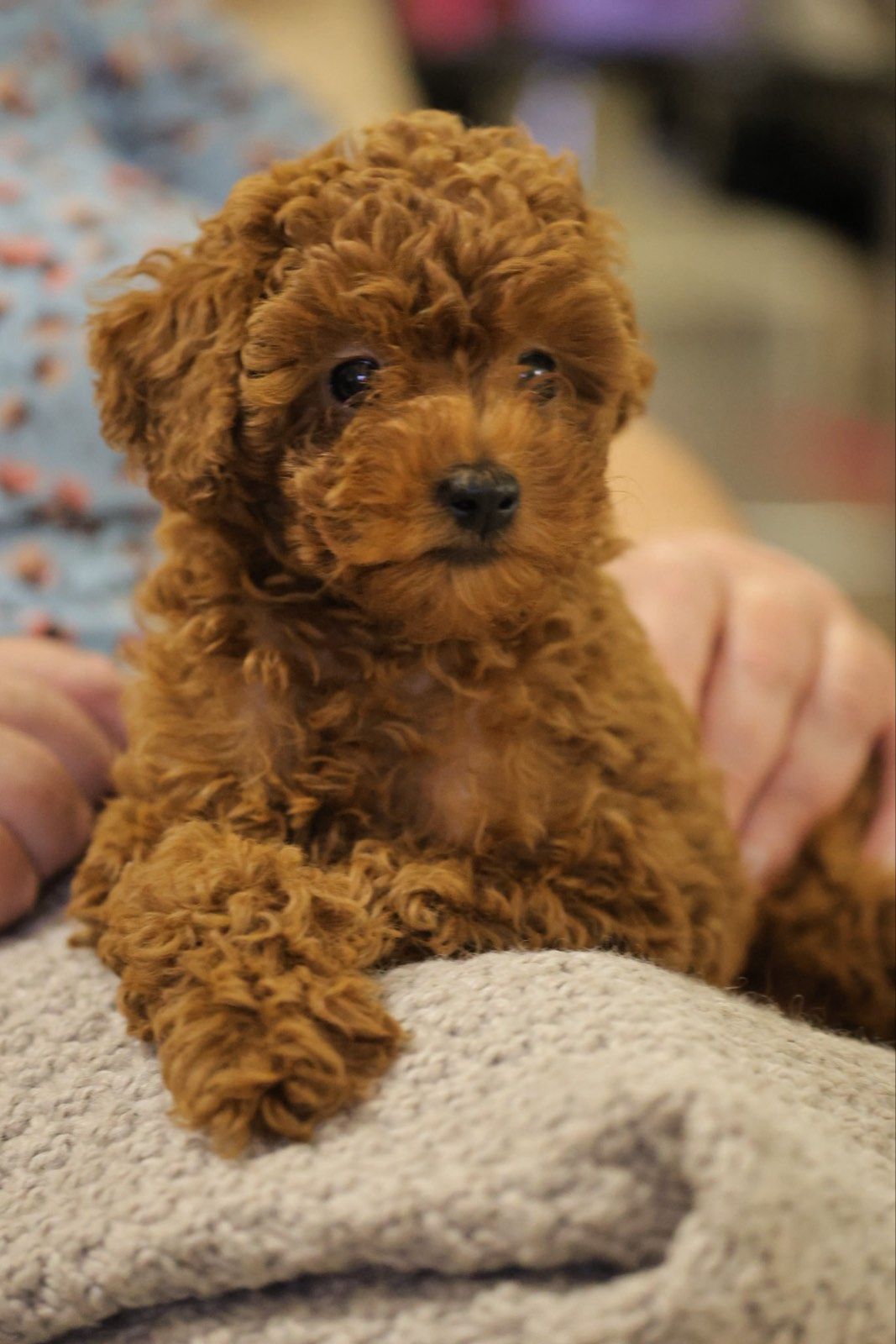 Непереможний