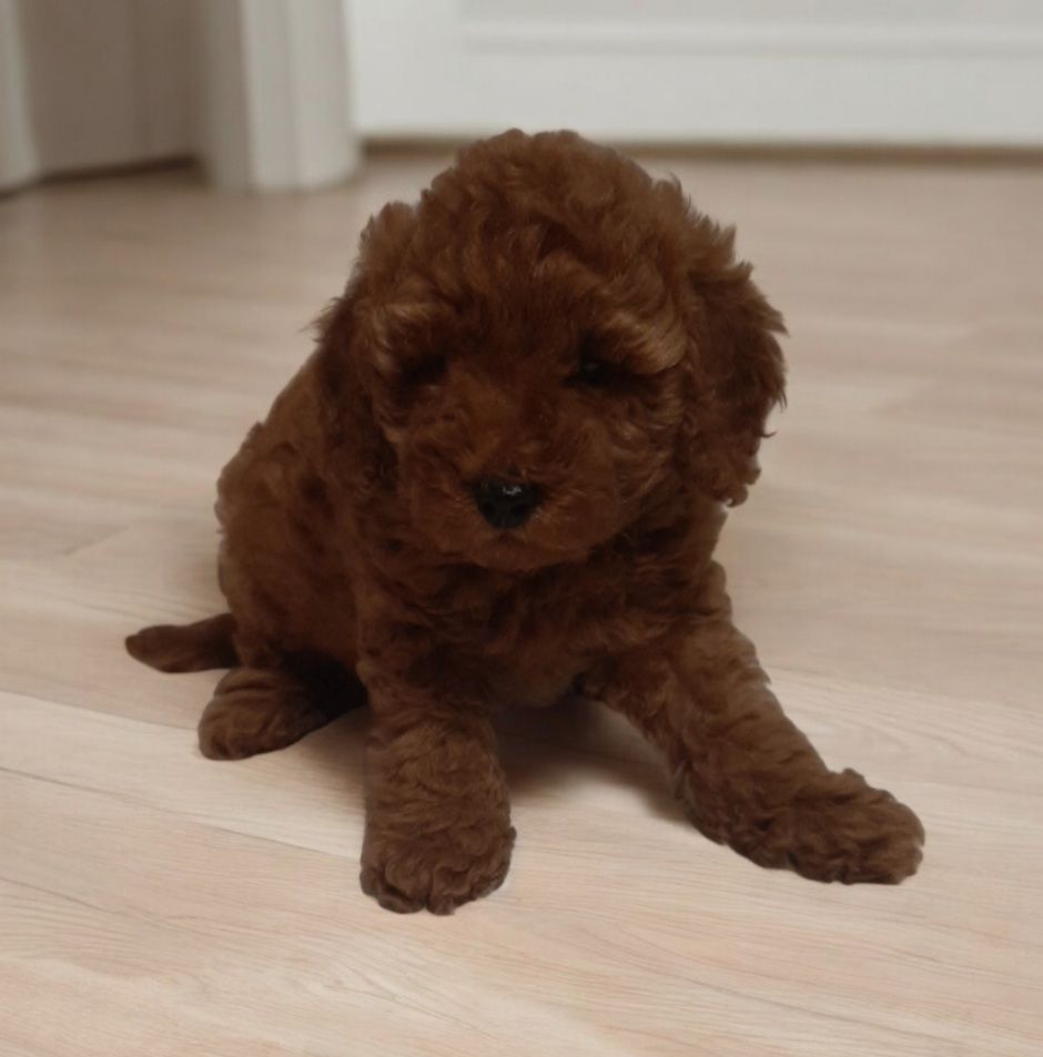 VIP мужчина! Красавец!