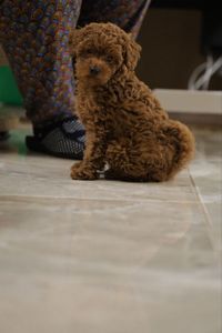 Непереможний