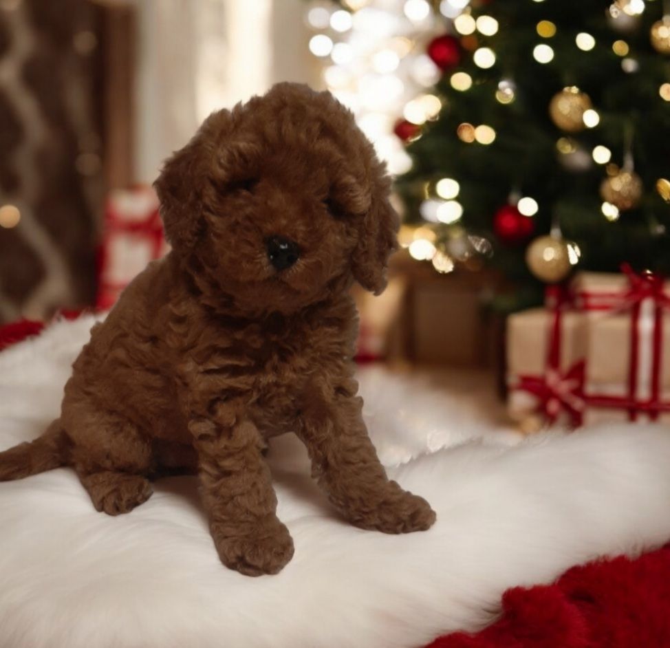 Неймовiрний красень!