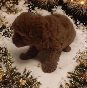 Неймовiрний красень!