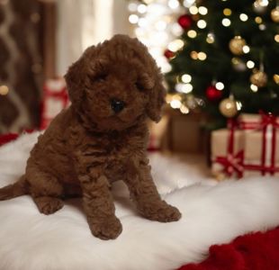 Неймовiрний красень!