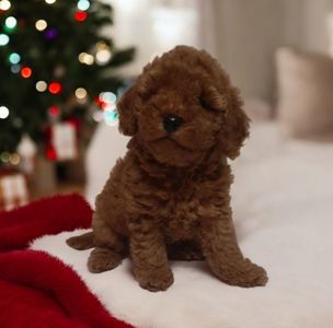 Неймовiрний красень!