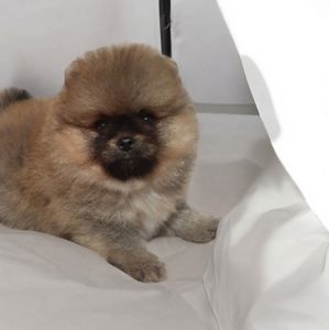 Чарiвний малюк! Baby face!