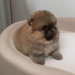 Чарiвний малюк! Baby face!