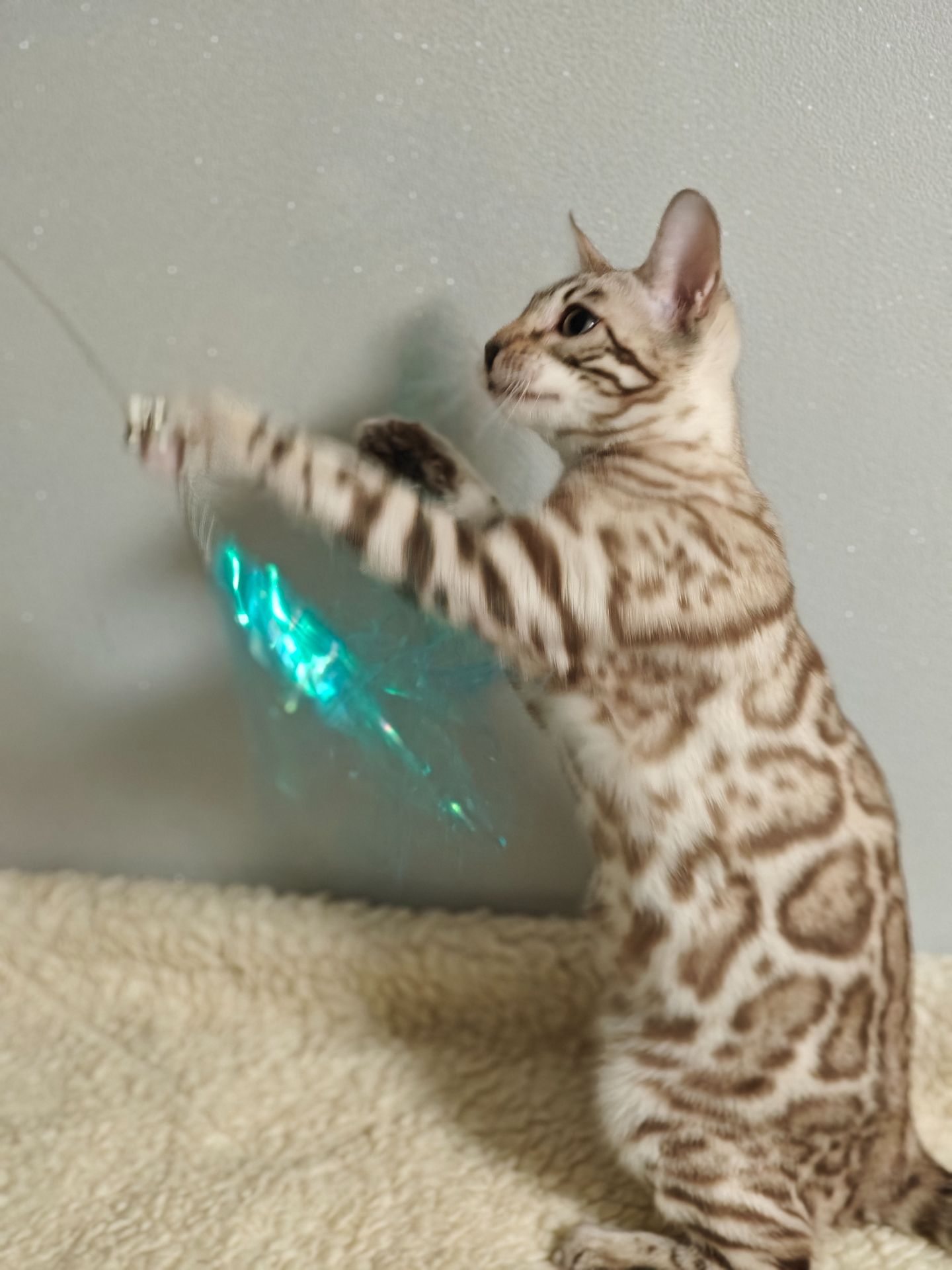 Дівчинка Daniela